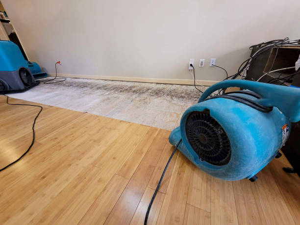 Professional Water Damage Repair technician working in Astoria, NY